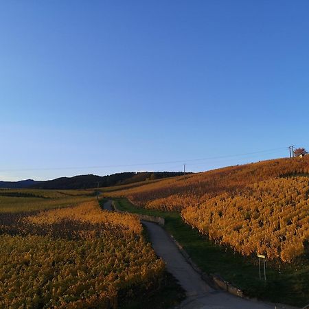 Апартаменты Cocon De Caractere Au Coeur Des Vignes Alsaciennes Бергхейм Экстерьер фото