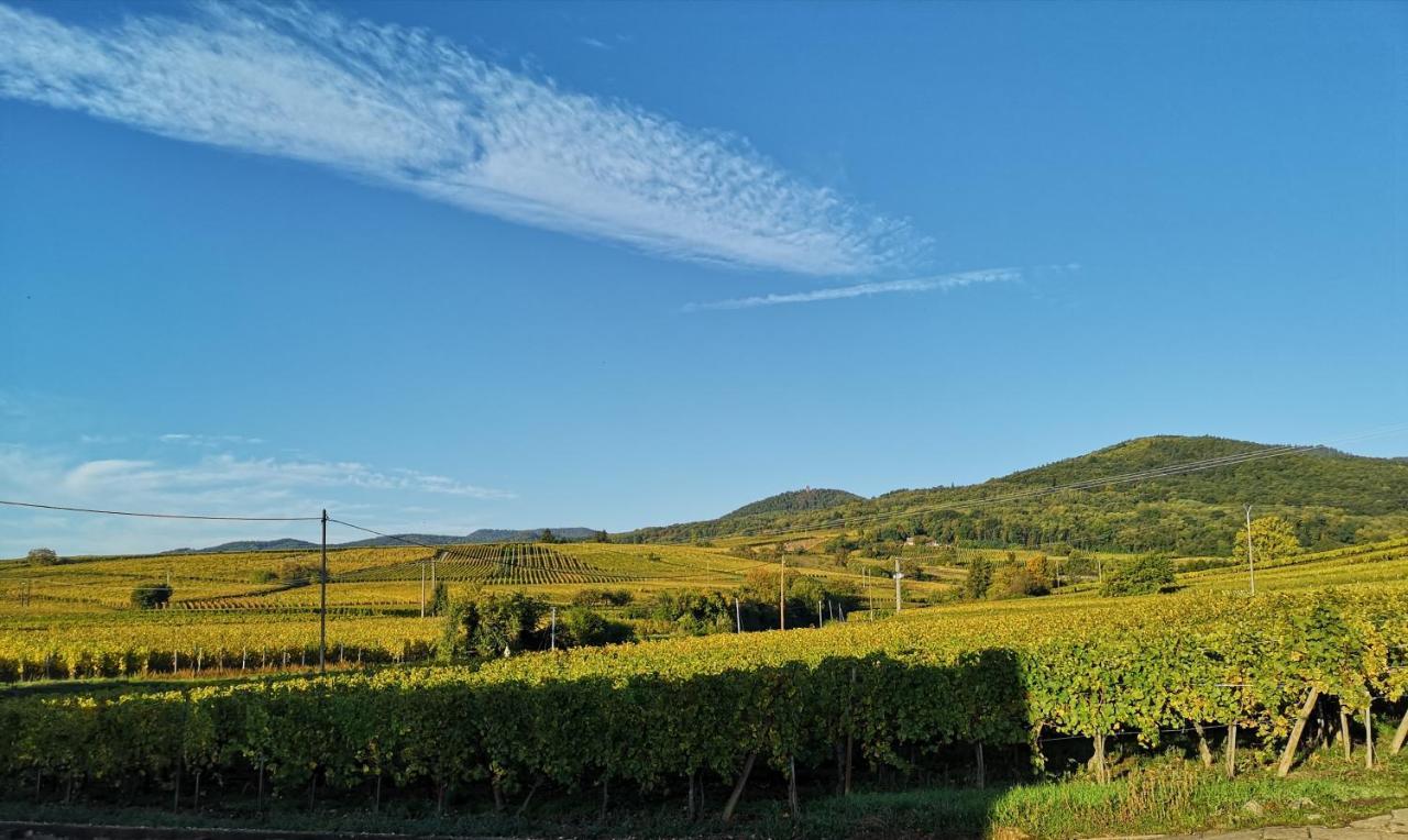 Апартаменты Cocon De Caractere Au Coeur Des Vignes Alsaciennes Бергхейм Экстерьер фото