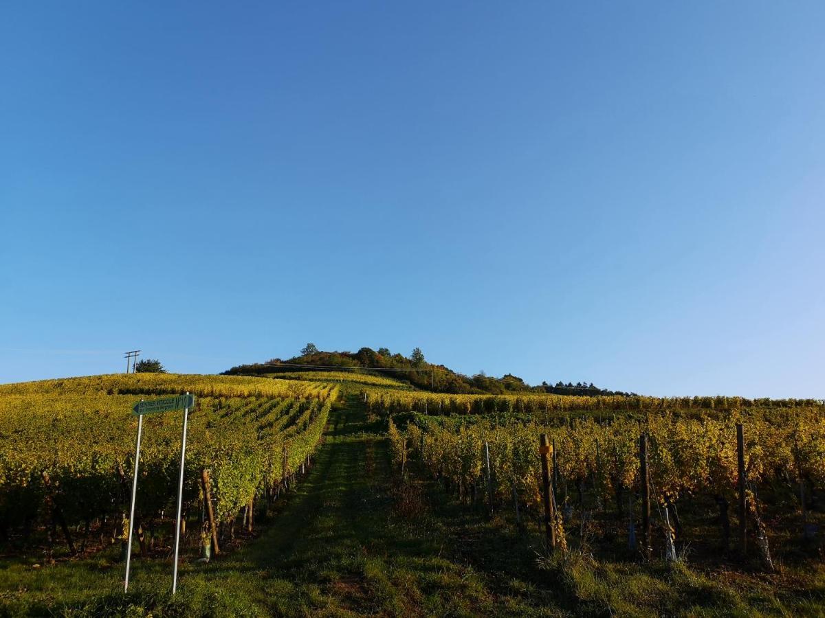 Апартаменты Cocon De Caractere Au Coeur Des Vignes Alsaciennes Бергхейм Экстерьер фото