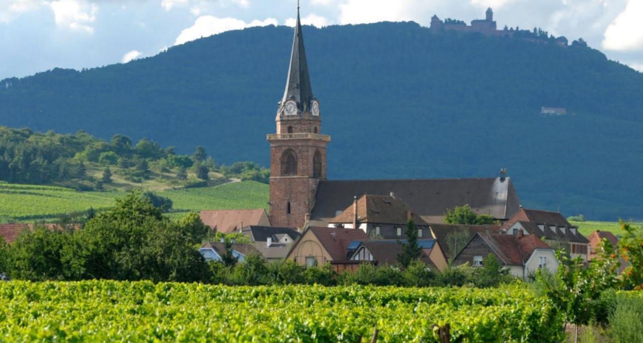 Апартаменты Cocon De Caractere Au Coeur Des Vignes Alsaciennes Бергхейм Экстерьер фото